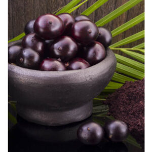 acai one berry syrup