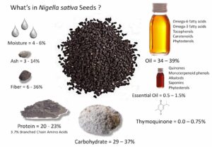 nigella sativa habet sevda fara e bereqetit