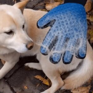 Doreze silikoni per pastrim te qimeve te kafsheve Grooming glove bli online porosit dyqantaxi