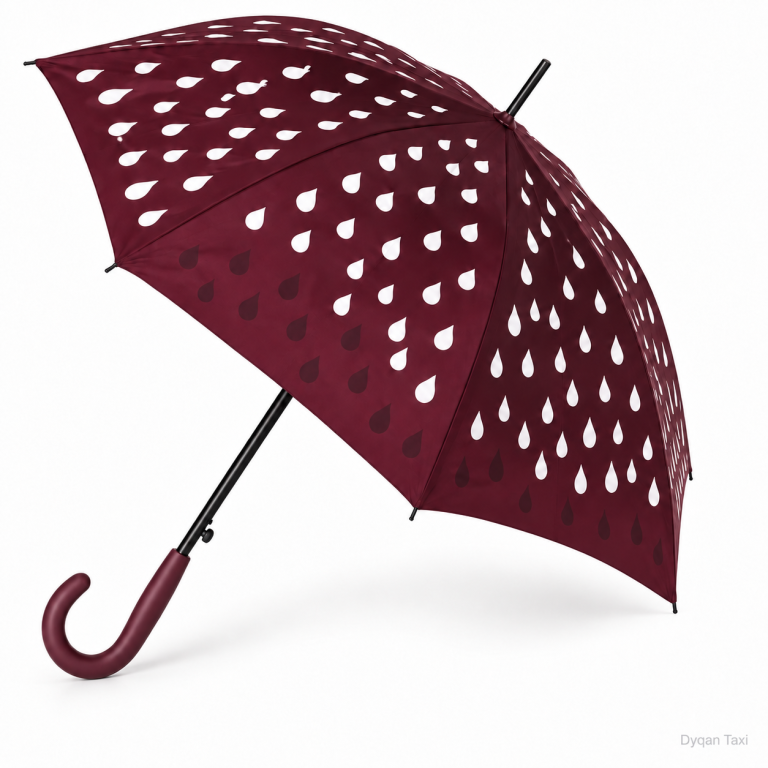 Cader Shiu qe ndryshon ngjyre | RST Umbrella thumbnail 6