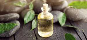 Vaj-Esencial-The-Gold-Tea-Tree-Argital-Oil.jpg