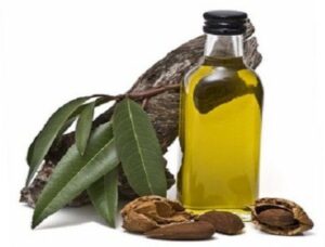 Vaj Bajame almond oil Sweet vaji i bajames per fytyren