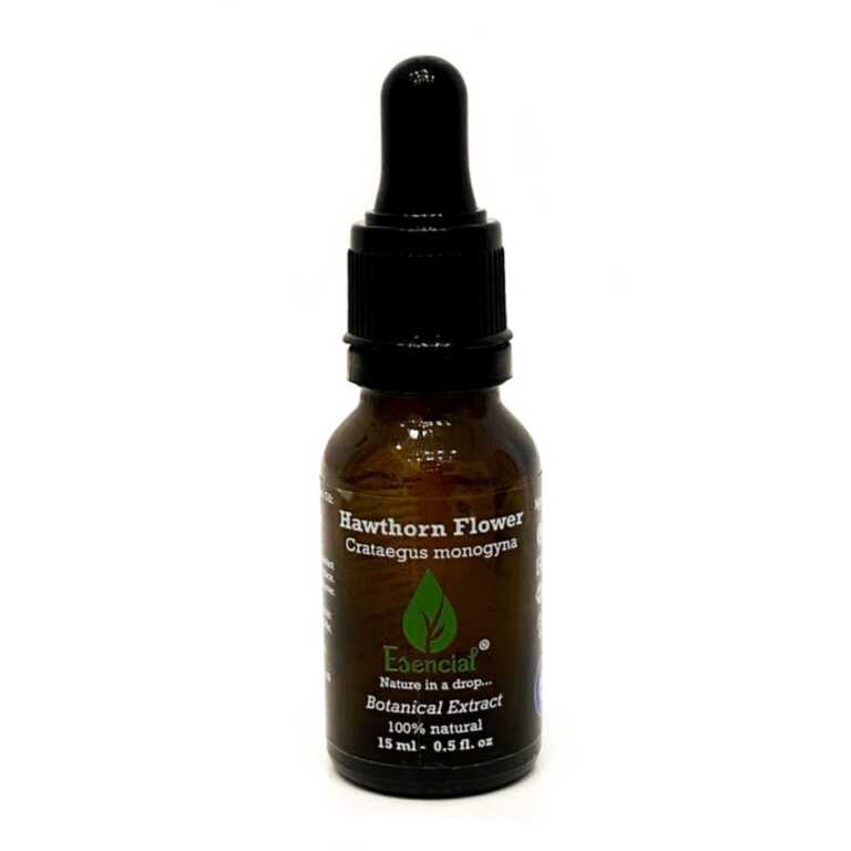 Sambucus Nigra | Black Elderberry Flower | Vaj Bimor