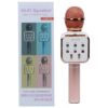 HIFI DS878 WIRELESS MIKROFON DYQAN TAXI