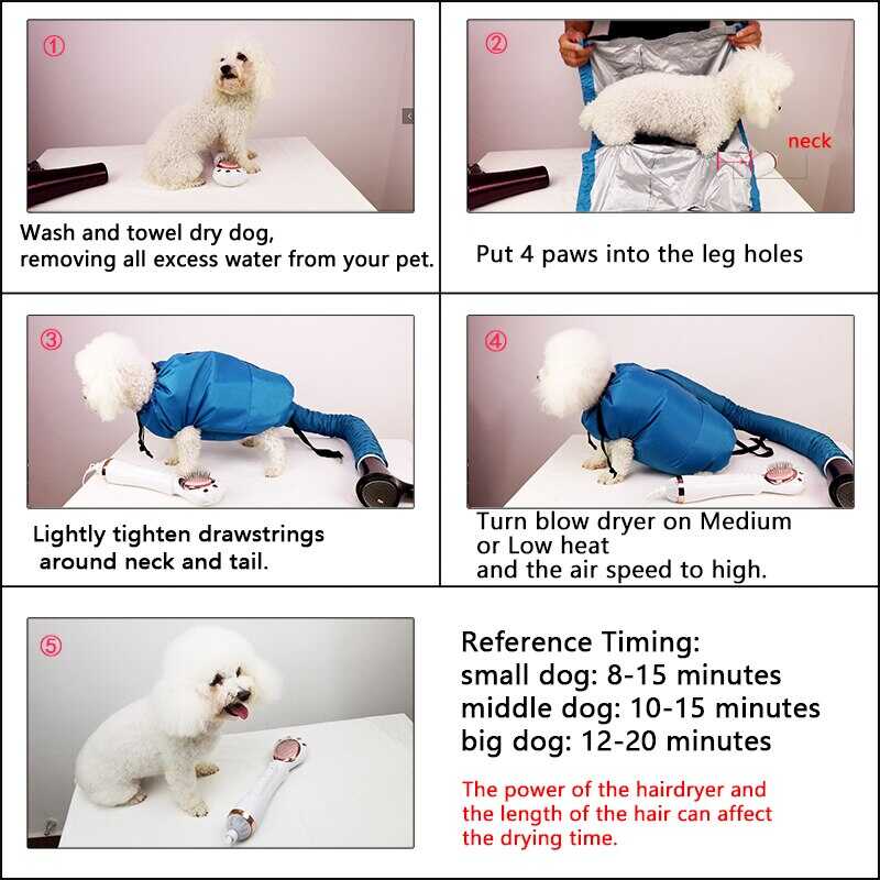 dog-dryer-bli-online-ne-dyqan-taxi dog dryer bli online ne dyqan taxi