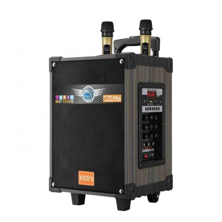 Boks i madh me dy mikrofona Super Bass LT 910