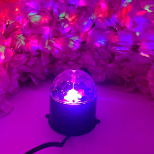 llambe led per festa ne dyqan taxi