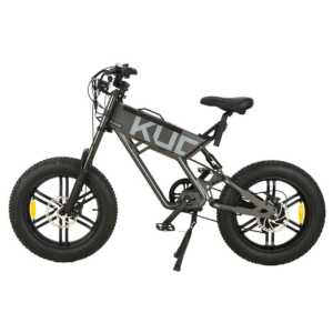 biciklete elektrike kugoo t01 online ne dyqan taxi