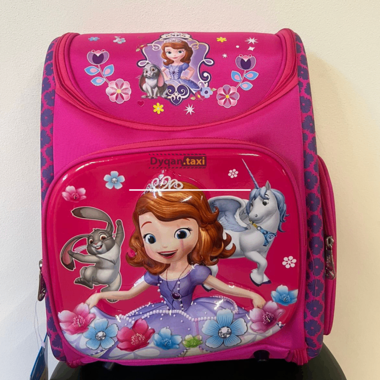 Cante shkolle katrore per vajza Frozen Princess Disney thumbnail 4