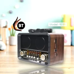 radio fm me bluetooth ne dyqan taxi