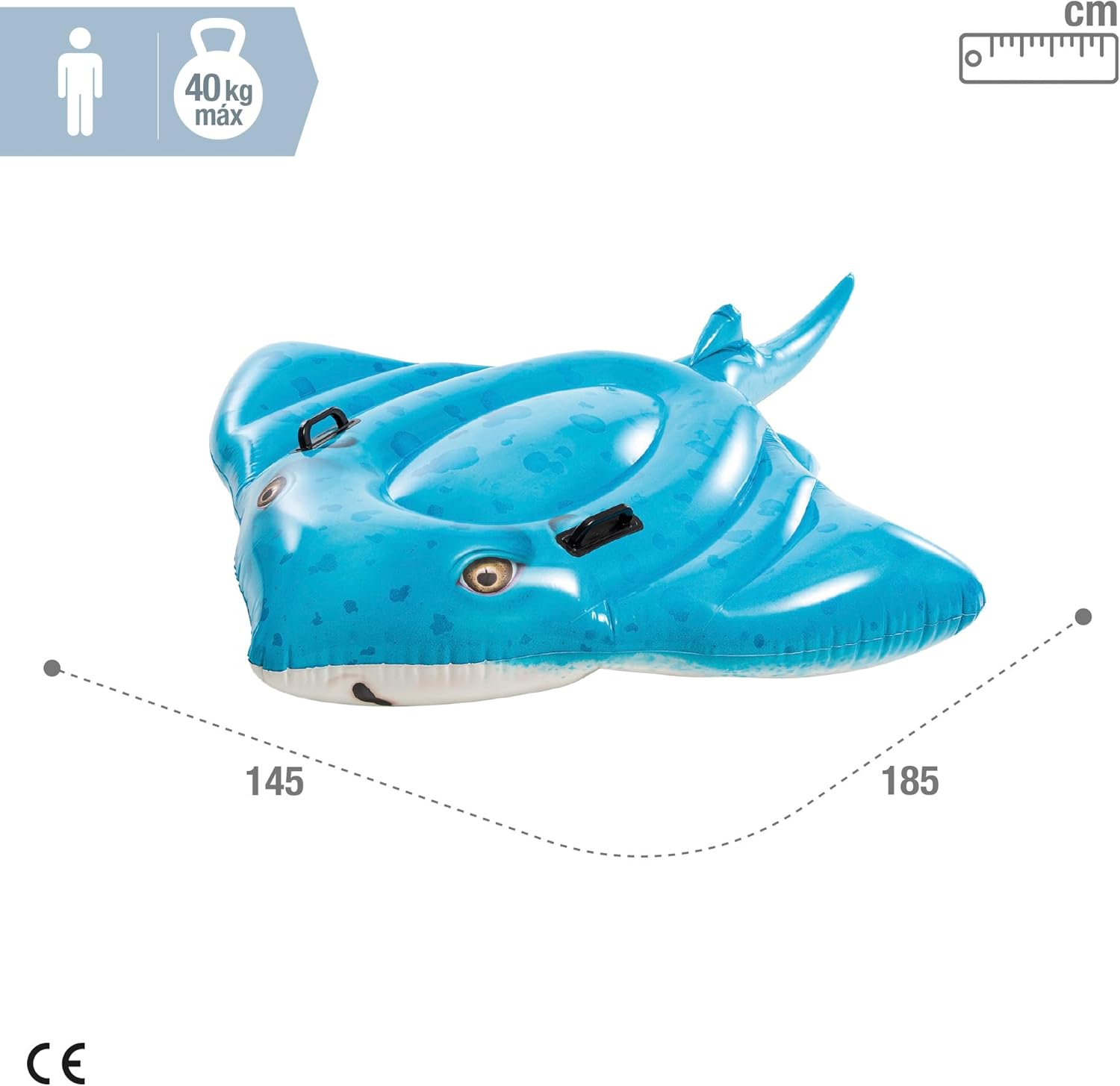 komardare-manta-ray-ne-dyqan-taxi