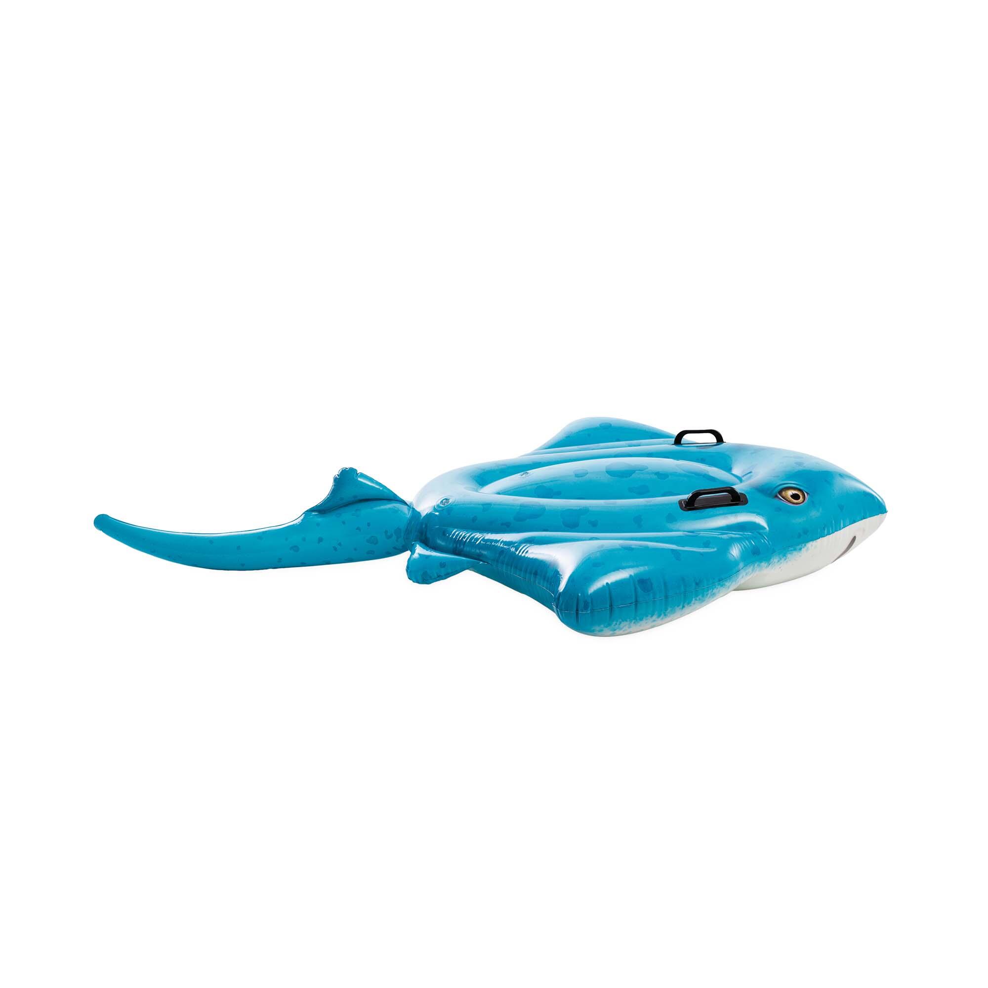 manta-ray-komeradare-me-doreza-ne-dyqan-taxi manta ray komeradre me doreza ne dyqan taxi