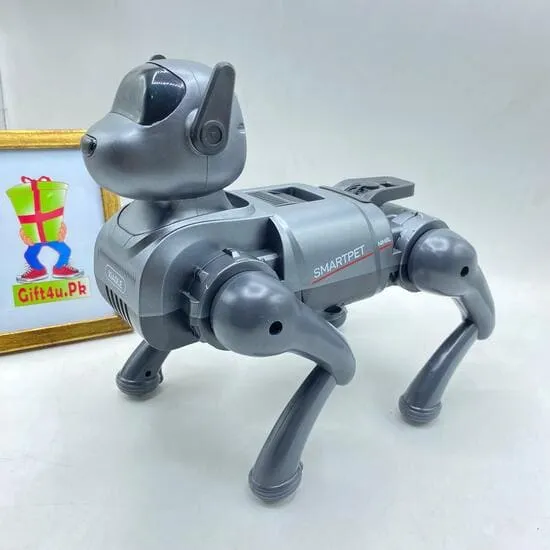 robot-loder-XIAOLE-Remote-Control-AI-ne-dyqan-taxi robot loder me telekomande ne dyqan taxi